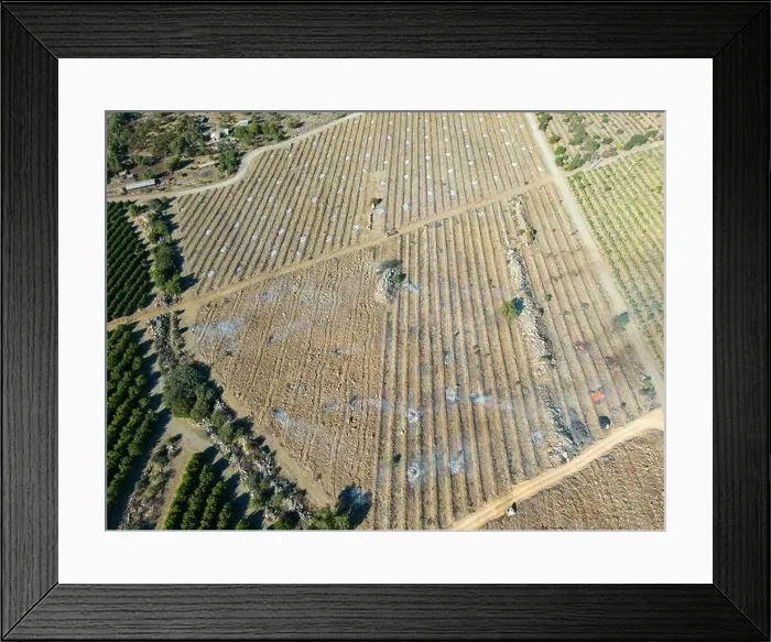 Framed Print : Aerial view of citriculture in Petorca in Chile, South America - plantation of citrus fruits Framed Print : Aerial view of citriculture in Petorca in Chile, South America - plantation of citrus fruits