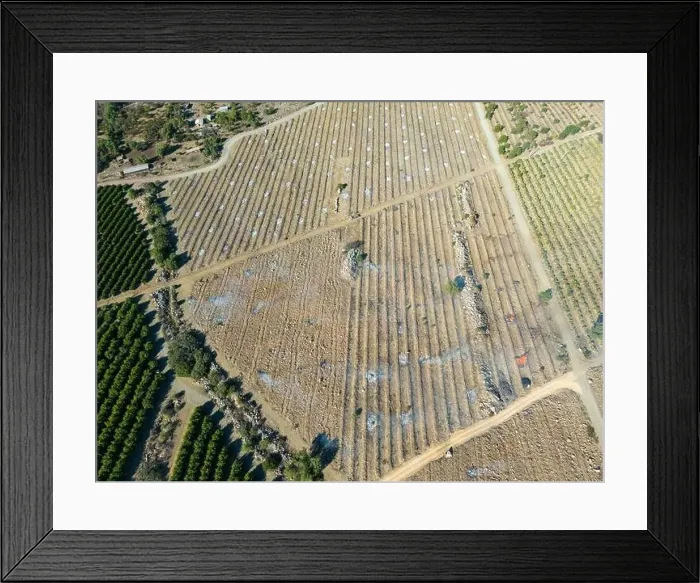 Framed Print : Aerial view of citriculture in Petorca in Chile, South America - plantation of citrus fruits Framed Print : Aerial view of citriculture in Petorca in Chile, South America - plantation of citrus fruits