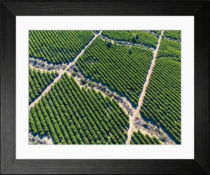Framed Print : Aerial view of citriculture in Petorca in Chile, South America - plantation of citrus fruits Framed Print : Aerial view of citriculture in Petorca in Chile, South America - plantation of citrus fruits
