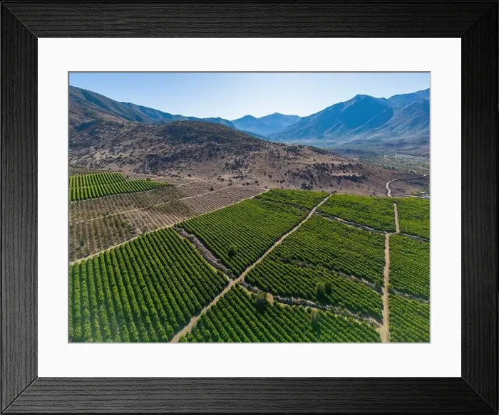 Framed Print : Aerial view of citriculture in Petorca in Chile, South America - plantation of citrus fruits Framed Print : Aerial view of citriculture in Petorca in Chile, South America - plantation of citrus fruits
