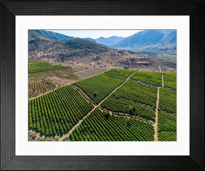 Framed Print : Aerial view of citriculture in Petorca in Chile, South America - plantation of citrus fruits Framed Print : Aerial view of citriculture in Petorca in Chile, South America - plantation of citrus fruits