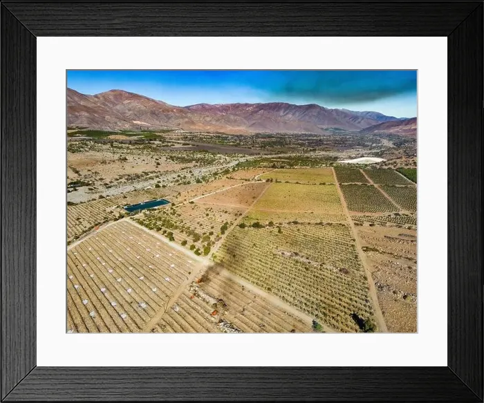 Framed Print : Aerial view of citriculture in Petorca in Chile, South America - plantation of citrus fruits Framed Print : Aerial view of citriculture in Petorca in Chile, South America - plantation of citrus fruits