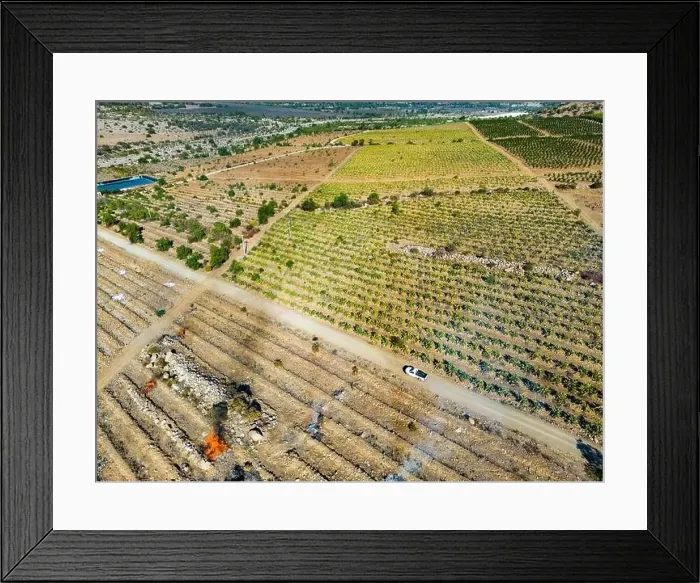 Framed Print : Aerial view of citriculture in Petorca in Chile, South America - plantation of citrus fruits Framed Print : Aerial view of citriculture in Petorca in Chile, South America - plantation of citrus fruits