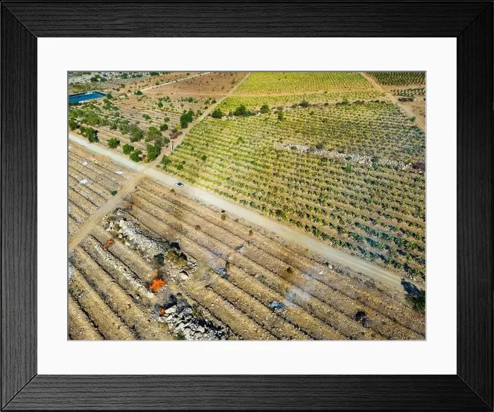 Framed Print : Aerial view of citriculture in Petorca in Chile, South America - plantation of citrus fruits Framed Print : Aerial view of citriculture in Petorca in Chile, South America - plantation of citrus fruits