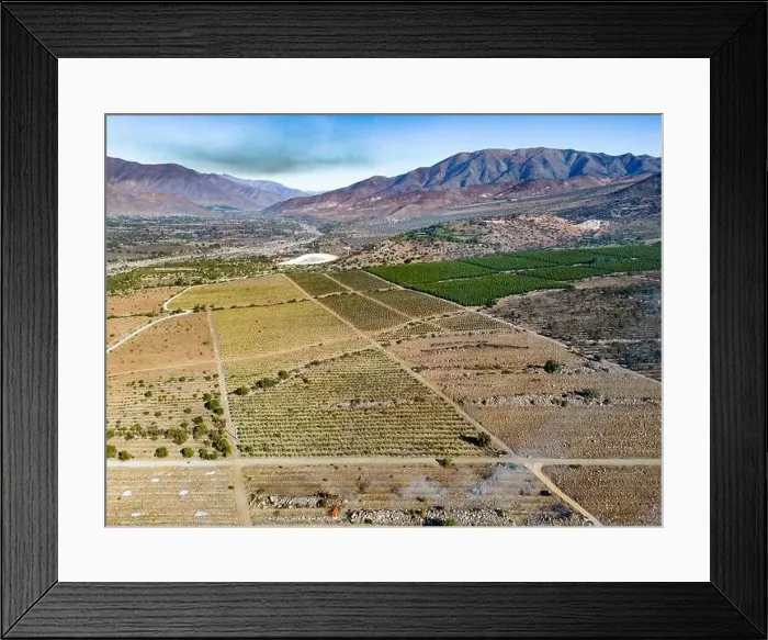 Framed Print : Aerial view of citriculture in Petorca in Chile, South America - plantation of citrus fruits Framed Print : Aerial view of citriculture in Petorca in Chile, South America - plantation of citrus fruits