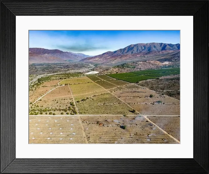 Framed Print : Aerial view of citriculture in Petorca in Chile, South America - plantation of citrus fruits Framed Print : Aerial view of citriculture in Petorca in Chile, South America - plantation of citrus fruits