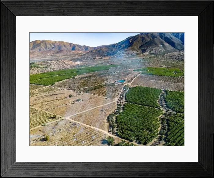 Framed Print : Aerial view of citriculture in Petorca in Chile, South America - plantation of citrus fruits Framed Print : Aerial view of citriculture in Petorca in Chile, South America - plantation of citrus fruits