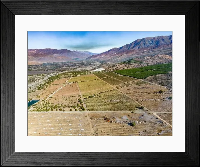 Framed Print : Aerial view of citriculture in Petorca in Chile, South America - plantation of citrus fruits Framed Print : Aerial view of citriculture in Petorca in Chile, South America - plantation of citrus fruits