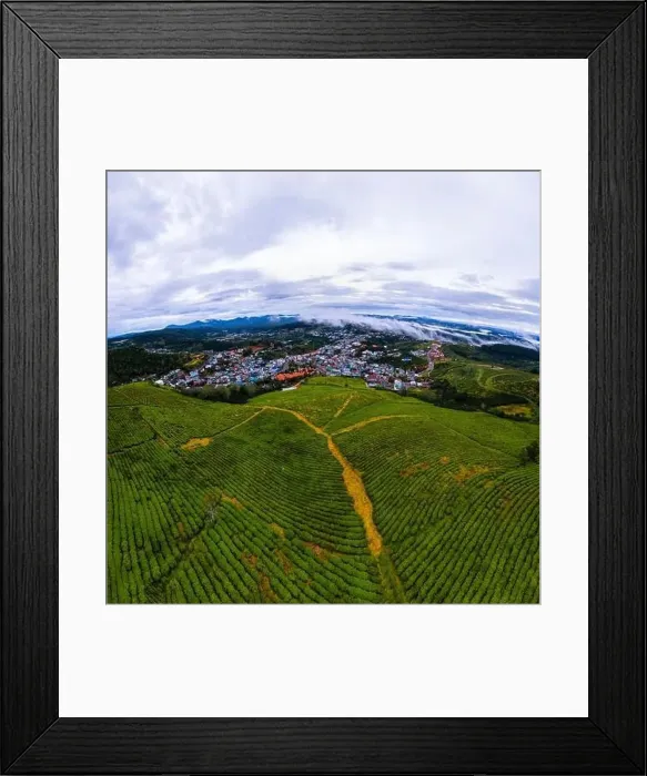Framed Print : Dawn on tea fields in Da Lat city, Lam Dong province, Vietnam Framed Print : Dawn on tea fields in Da Lat city, Lam Dong province, Vietnam
