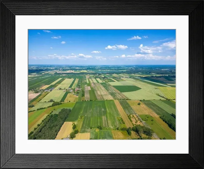 Framed Print : Abstract geometric shapes of agricultural parcels of different crops in yellow and green colors Framed Print : Abstract geometric shapes of agricultural parcels of different crops in yellow and green colors