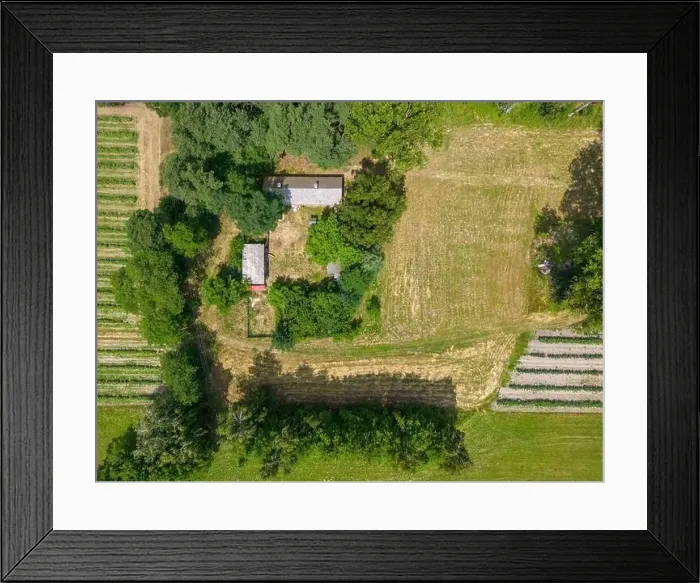 Framed Print : Abstract geometric shapes of agricultural parcels of different crops in yellow and green colors Framed Print : Abstract geometric shapes of agricultural parcels of different crops in yellow and green colors