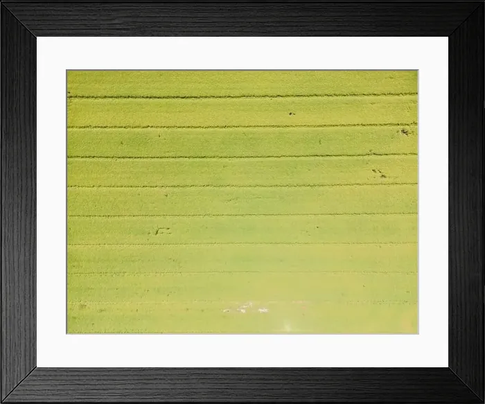 Framed Print : Abstract geometric shapes of agricultural parcels of different crops in yellow and green colors Framed Print : Abstract geometric shapes of agricultural parcels of different crops in yellow and green colors