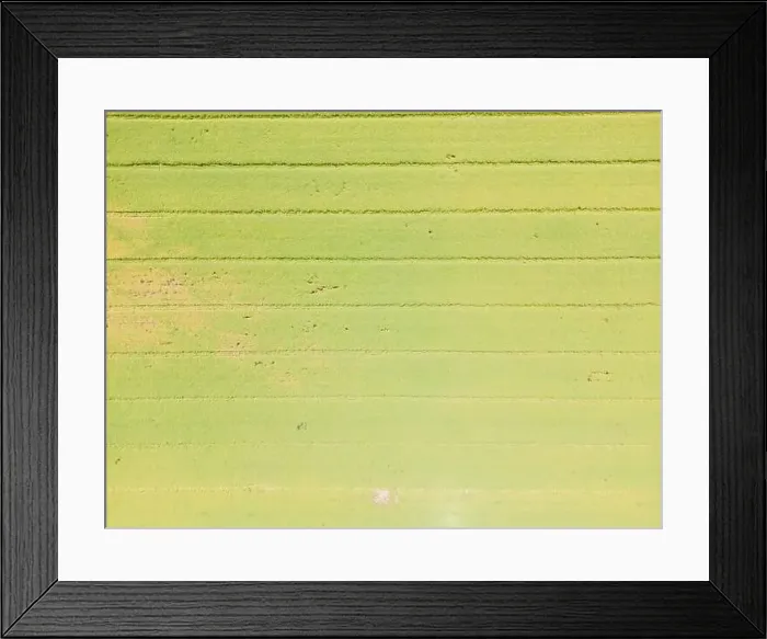 Framed Print : Abstract geometric shapes of agricultural parcels of different crops in yellow and green colors Framed Print : Abstract geometric shapes of agricultural parcels of different crops in yellow and green colors