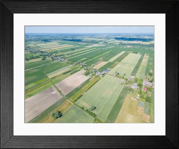 Framed Print : Abstract geometric shapes of agricultural parcels of different crops in yellow and green colors Framed Print : Abstract geometric shapes of agricultural parcels of different crops in yellow and green colors