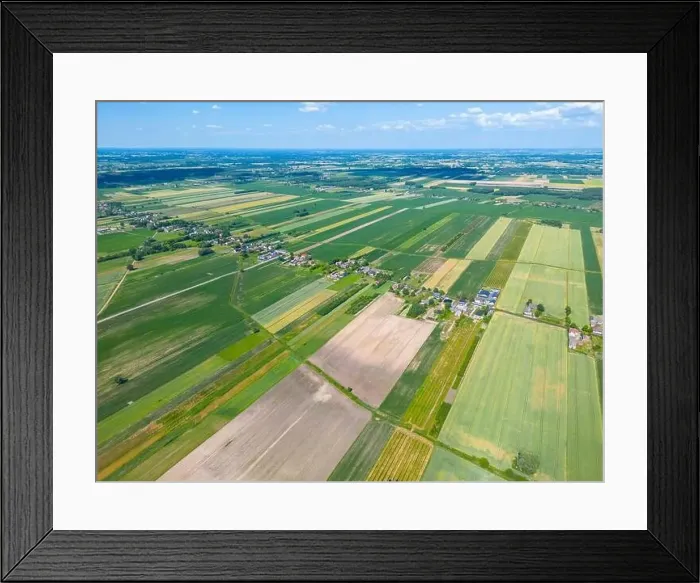 Framed Print : Abstract geometric shapes of agricultural parcels of different crops in yellow and green colors Framed Print : Abstract geometric shapes of agricultural parcels of different crops in yellow and green colors
