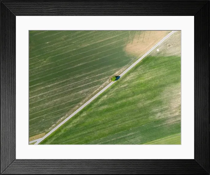 Framed Print : Abstract geometric shapes of agricultural parcels of different crops in yellow and green colors Framed Print : Abstract geometric shapes of agricultural parcels of different crops in yellow and green colors
