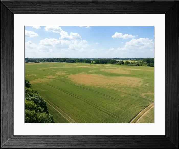 Framed Print : Abstract geometric shapes of agricultural parcels of different crops in yellow and green colors Framed Print : Abstract geometric shapes of agricultural parcels of different crops in yellow and green colors