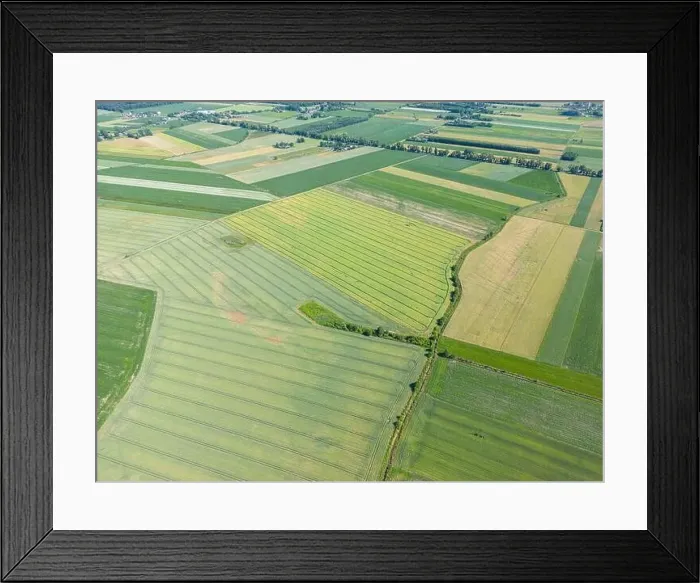Framed Print : Abstract geometric shapes of agricultural parcels of different crops in yellow and green colors Framed Print : Abstract geometric shapes of agricultural parcels of different crops in yellow and green colors