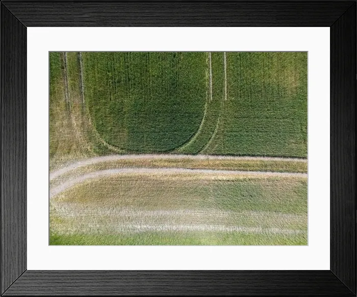 Framed Print : Abstract geometric shapes of agricultural parcels of different crops in yellow and green colors Framed Print : Abstract geometric shapes of agricultural parcels of different crops in yellow and green colors