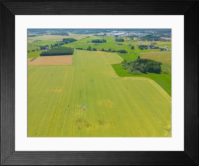 Framed Print : Abstract geometric shapes of agricultural parcels of different crops in yellow and green colors Framed Print : Abstract geometric shapes of agricultural parcels of different crops in yellow and green colors