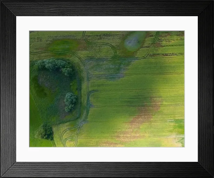Framed Print : Abstract geometric shapes of agricultural parcels of different crops in yellow and green colors Framed Print : Abstract geometric shapes of agricultural parcels of different crops in yellow and green colors