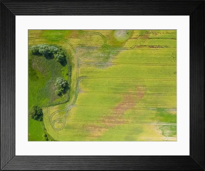 Framed Print : Abstract geometric shapes of agricultural parcels of different crops in yellow and green colors Framed Print : Abstract geometric shapes of agricultural parcels of different crops in yellow and green colors