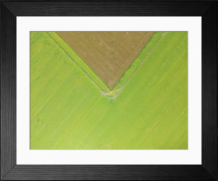 Framed Print : Abstract geometric shapes of agricultural parcels of different crops in yellow and green colors Framed Print : Abstract geometric shapes of agricultural parcels of different crops in yellow and green colors