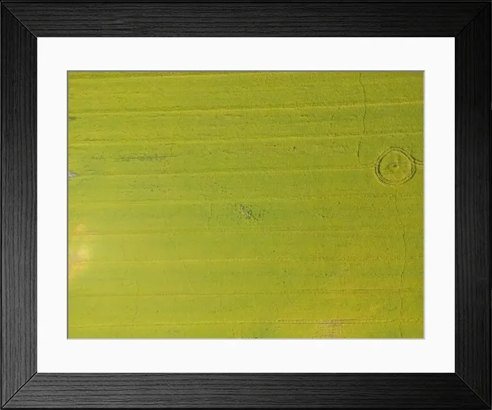 Framed Print : Abstract geometric shapes of agricultural parcels of different crops in yellow and green colors Framed Print : Abstract geometric shapes of agricultural parcels of different crops in yellow and green colors