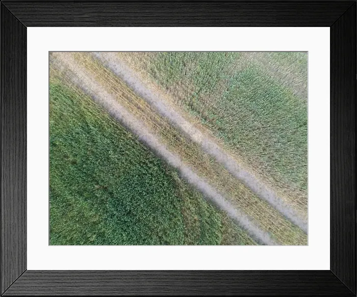 Framed Print : Vertical stripes of agricultural parcels of different crops. Aerial view shoot from drone directly above field Framed Print : Vertical stripes of agricultural parcels of different crops. Aerial view shoot from drone directly above field