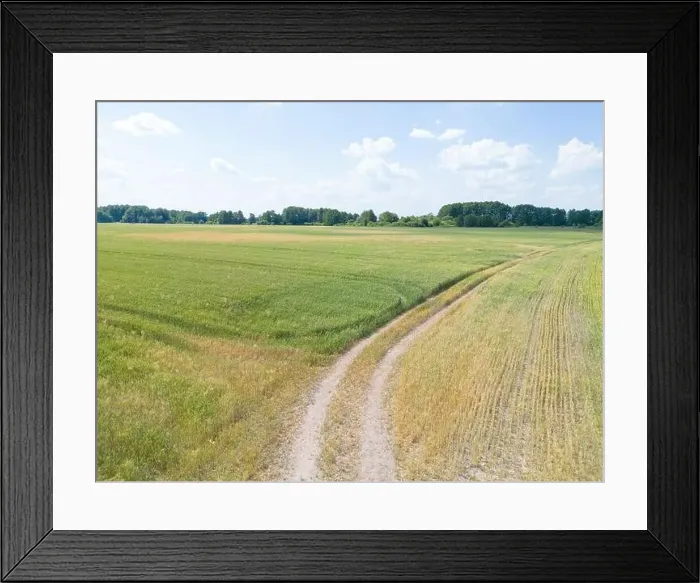 Framed Print : Vertical stripes of agricultural parcels of different crops. Aerial view shoot from drone directly above field Framed Print : Vertical stripes of agricultural parcels of different crops. Aerial view shoot from drone directly above field