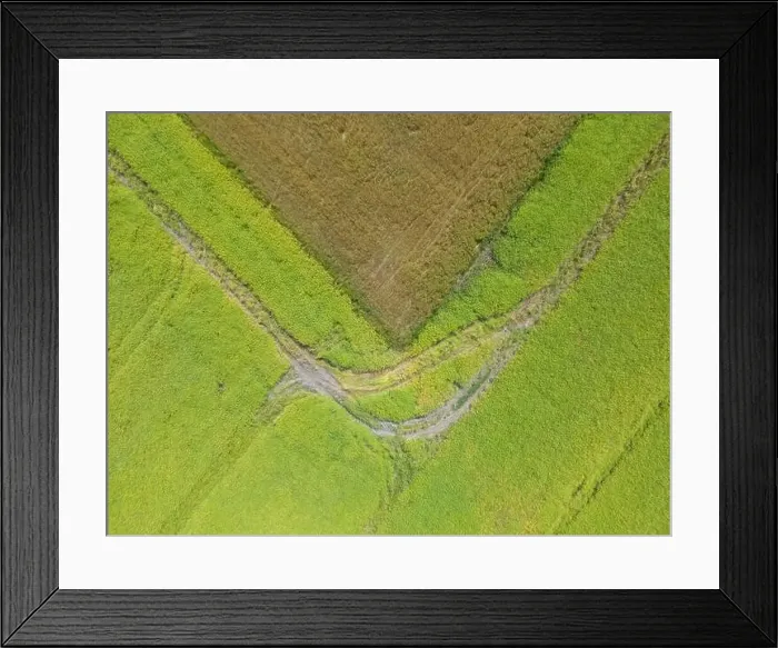 Framed Print : Abstract geometric shapes of agricultural parcels of different crops in yellow and green colors Framed Print : Abstract geometric shapes of agricultural parcels of different crops in yellow and green colors