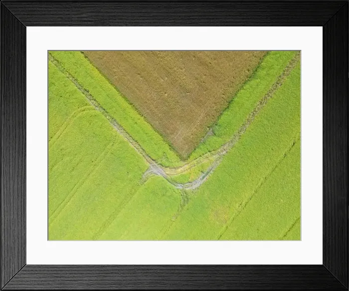 Framed Print : Abstract geometric shapes of agricultural parcels of different crops in yellow and green colors Framed Print : Abstract geometric shapes of agricultural parcels of different crops in yellow and green colors