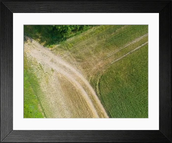 Framed Print : Vertical stripes of agricultural parcels of different crops. Aerial view shoot from drone directly above field Framed Print : Vertical stripes of agricultural parcels of different crops. Aerial view shoot from drone directly above field