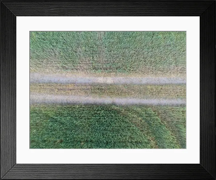 Framed Print : Vertical stripes of agricultural parcels of different crops. Aerial view shoot from drone directly above field Framed Print : Vertical stripes of agricultural parcels of different crops. Aerial view shoot from drone directly above field