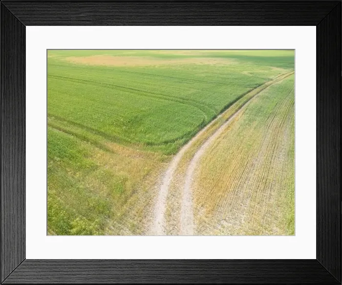 Framed Print : Vertical stripes of agricultural parcels of different crops. Aerial view shoot from drone directly above field Framed Print : Vertical stripes of agricultural parcels of different crops. Aerial view shoot from drone directly above field
