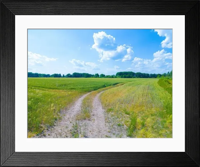 Framed Print : Vertical stripes of agricultural parcels of different crops. Aerial view shoot from drone directly above field Framed Print : Vertical stripes of agricultural parcels of different crops. Aerial view shoot from drone directly above field