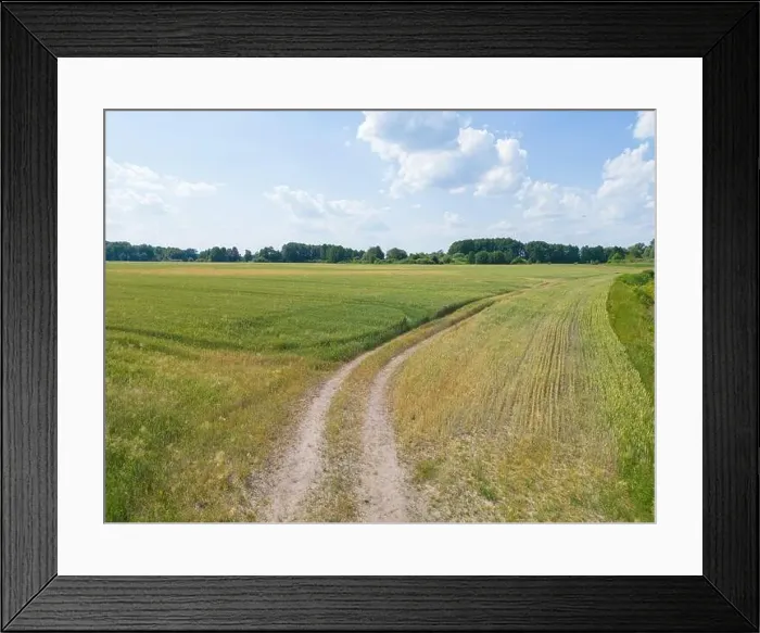 Framed Print : Vertical stripes of agricultural parcels of different crops. Aerial view shoot from drone directly above field Framed Print : Vertical stripes of agricultural parcels of different crops. Aerial view shoot from drone directly above field