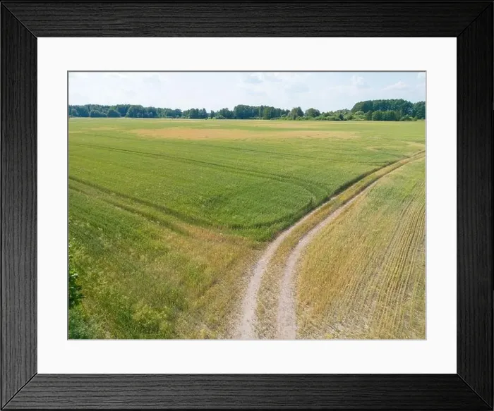 Framed Print : Vertical stripes of agricultural parcels of different crops. Aerial view shoot from drone directly above field Framed Print : Vertical stripes of agricultural parcels of different crops. Aerial view shoot from drone directly above field