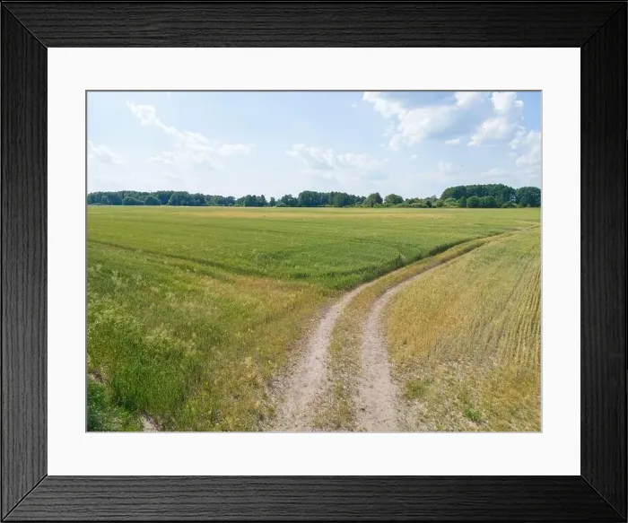 Framed Print : Vertical stripes of agricultural parcels of different crops. Aerial view shoot from drone directly above field Framed Print : Vertical stripes of agricultural parcels of different crops. Aerial view shoot from drone directly above field