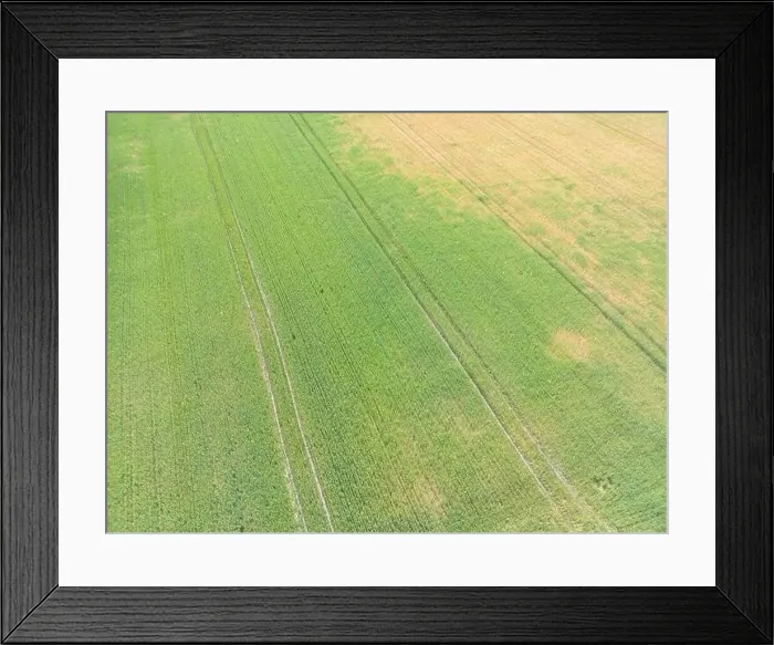 Framed Print : Vertical stripes of agricultural parcels of different crops. Aerial view shoot from drone directly above field Framed Print : Vertical stripes of agricultural parcels of different crops. Aerial view shoot from drone directly above field