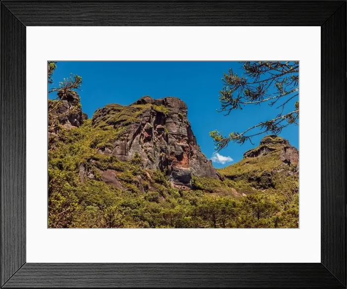 Framed Print : Scenic Morro dos Cabritos canyon with araucaria trees and rocks in Santa Catarina, Brazil Framed Print : Scenic Morro dos Cabritos canyon with araucaria trees and rocks in Santa Catarina, Brazil