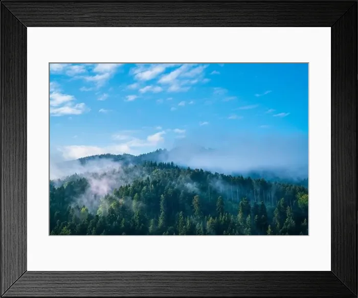 Framed Print : Germany, Panorama schwarzwald forest view Framed Print : Germany, Panorama schwarzwald forest view
