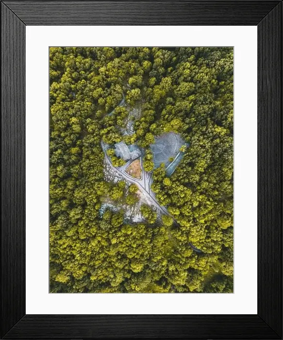 Framed Print : Old Theatre in The Middle of Forest Framed Print : Old Theatre in The Middle of Forest