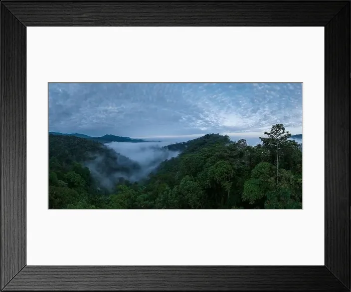 Framed Print : Aerial view of The Cloudforest, Mashpi, Reserva Mashpi Amagusa, Pichincha, Ecuador, South America Framed Print : Aerial view of The Cloudforest, Mashpi, Reserva Mashpi Amagusa, Pichincha, Ecuador, South America