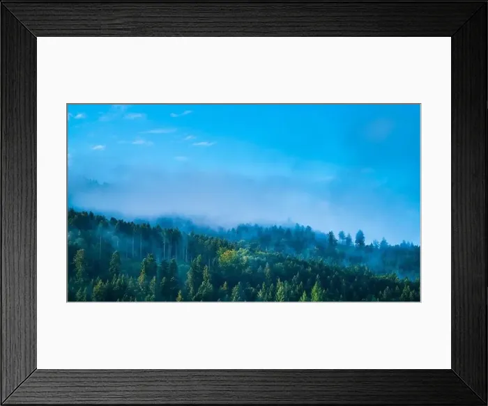 Framed Print : Germany, Panorama schwarzwald forest view Framed Print : Germany, Panorama schwarzwald forest view