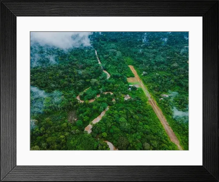 Framed Print : Aerial view of narrow road going through green trees growing in forest near residential houses located at Amazonas Framed Print : Aerial view of narrow road going through green trees growing in forest near residential houses located at Amazonas