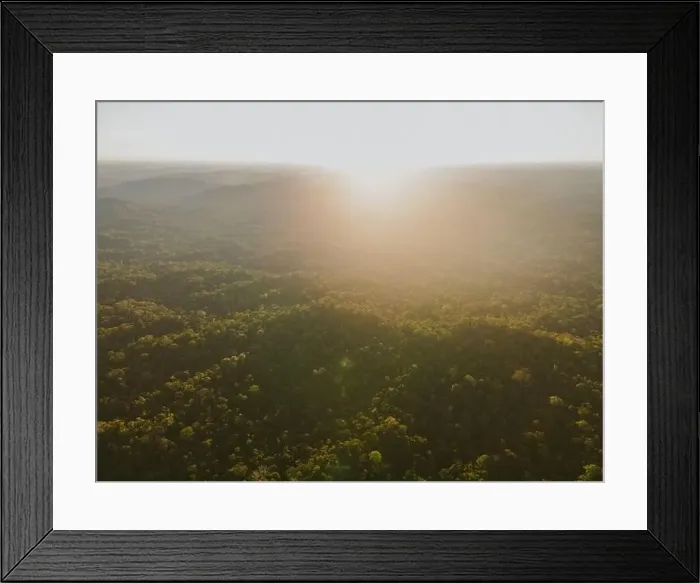 Framed Print : From above drone view of green trees Framed Print : From above drone view of green trees