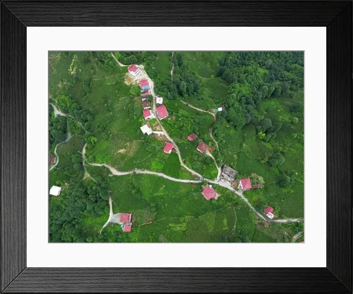 Framed Print : In the city of Rize, Turkey, the natural life is very strong. Forests and tea cultivation areas are rich Framed Print : In the city of Rize, Turkey, the natural life is very strong. Forests and tea cultivation areas are rich