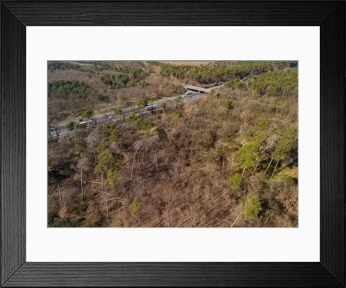 Framed Print : Winter drought and forest dieback in a forest next to a Autobahn seen from the air, Germany