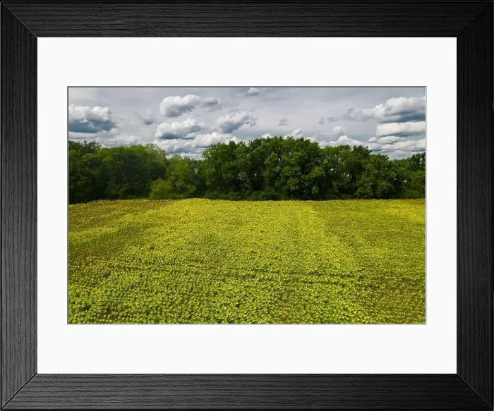 Framed Print : Warsaw, drone, bird view, aerial Framed Print : Warsaw, drone, bird view, aerial